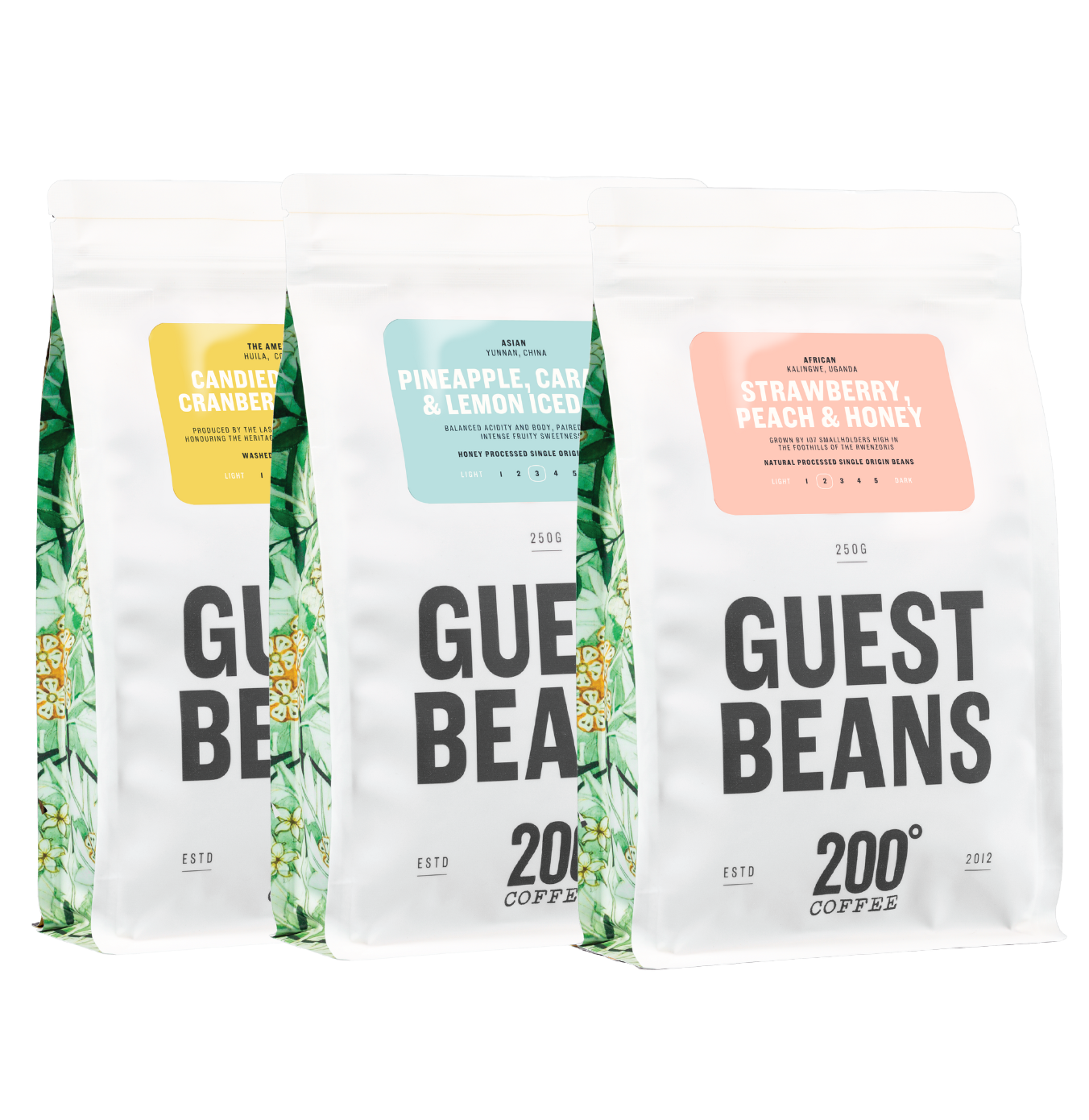 Discovery Coffee Trio