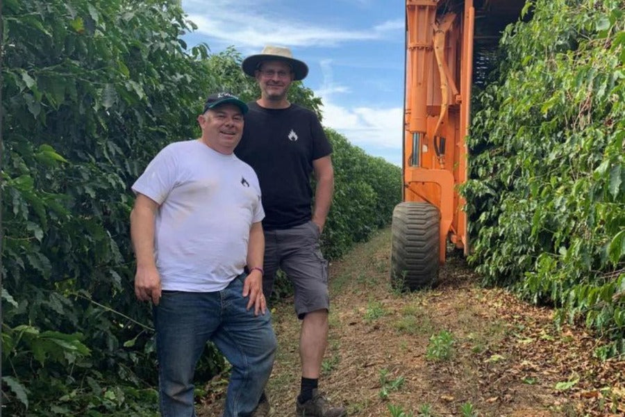 Brazilian Love Affair Subscription - Subscription