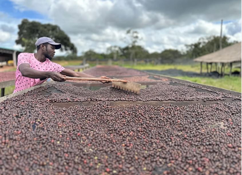 The Roast Of Christmas Past