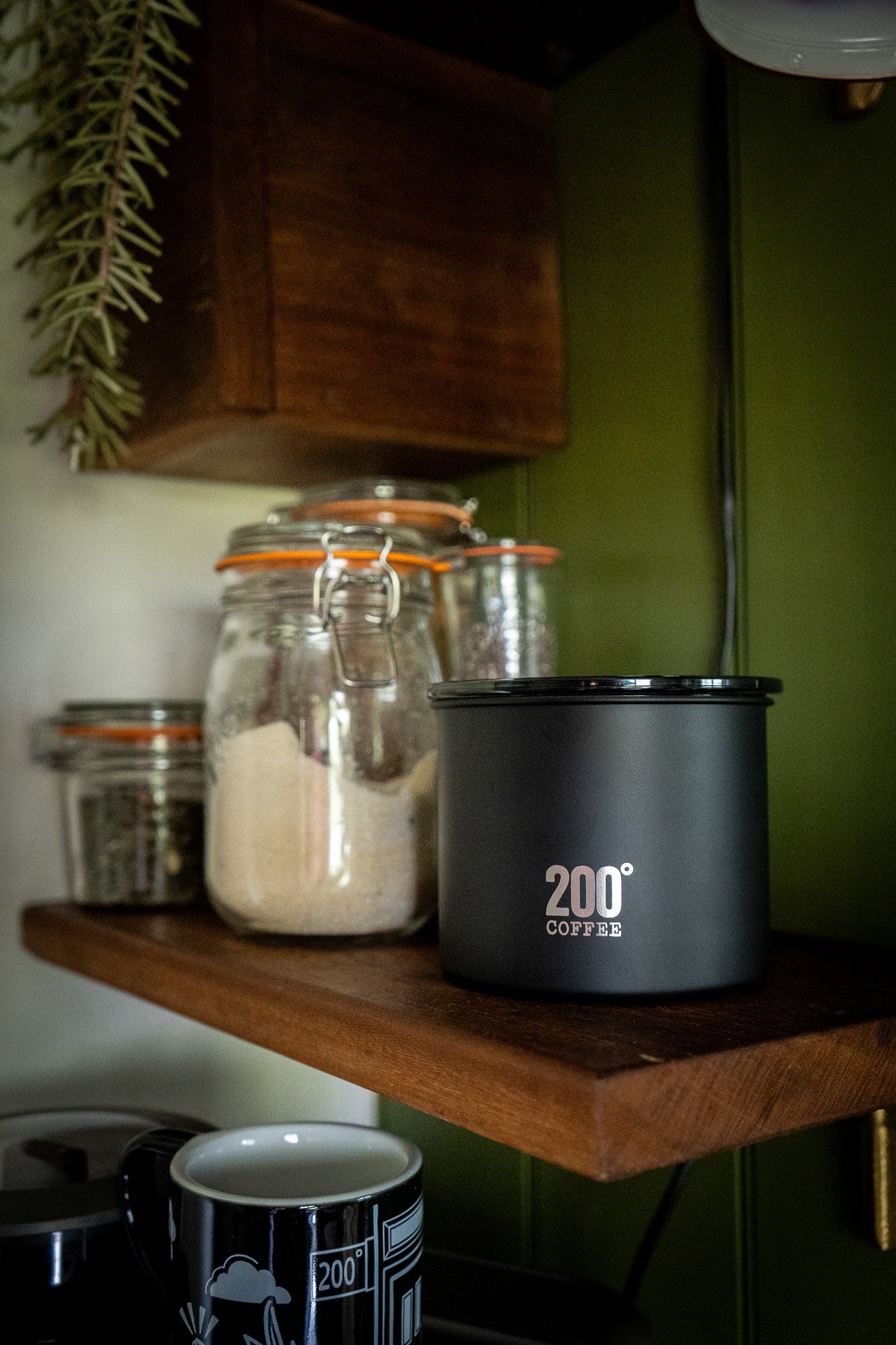 Airscape Coffee Canister