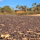 Brazilian Love Affair Coffee Pods