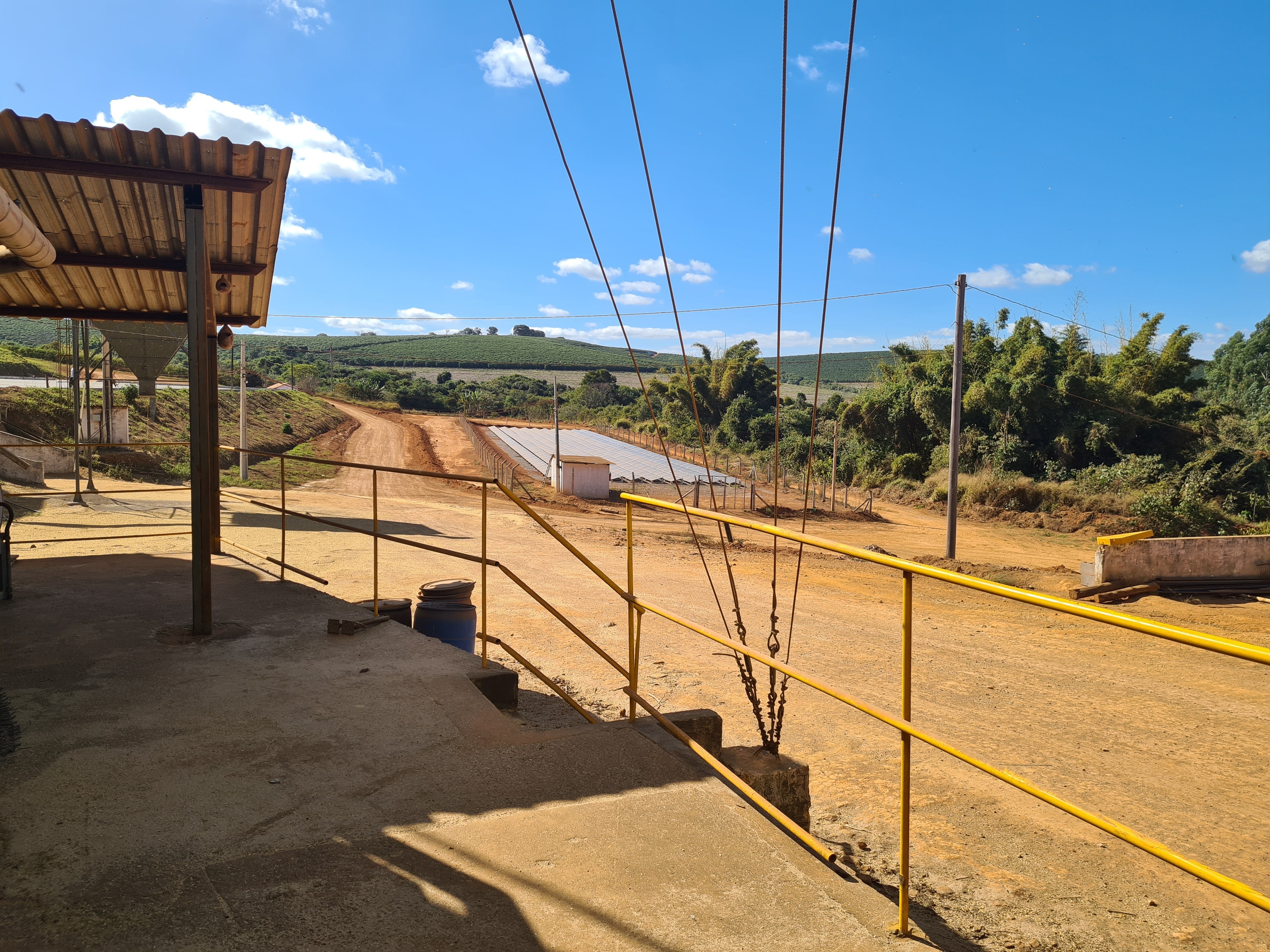 Brazilian Love Affair Coffee Pods Subscription - Subscription