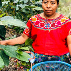 Switch Up Charity Coffee Pods