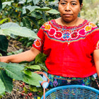 Switch Up Charity Coffee - Subscription