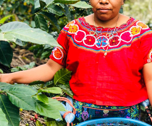Switch Up Charity Coffee - Subscription